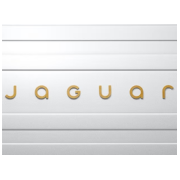 seminuevos marca Jaguar 4